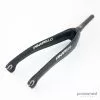Pinarello F10 Spare Fork